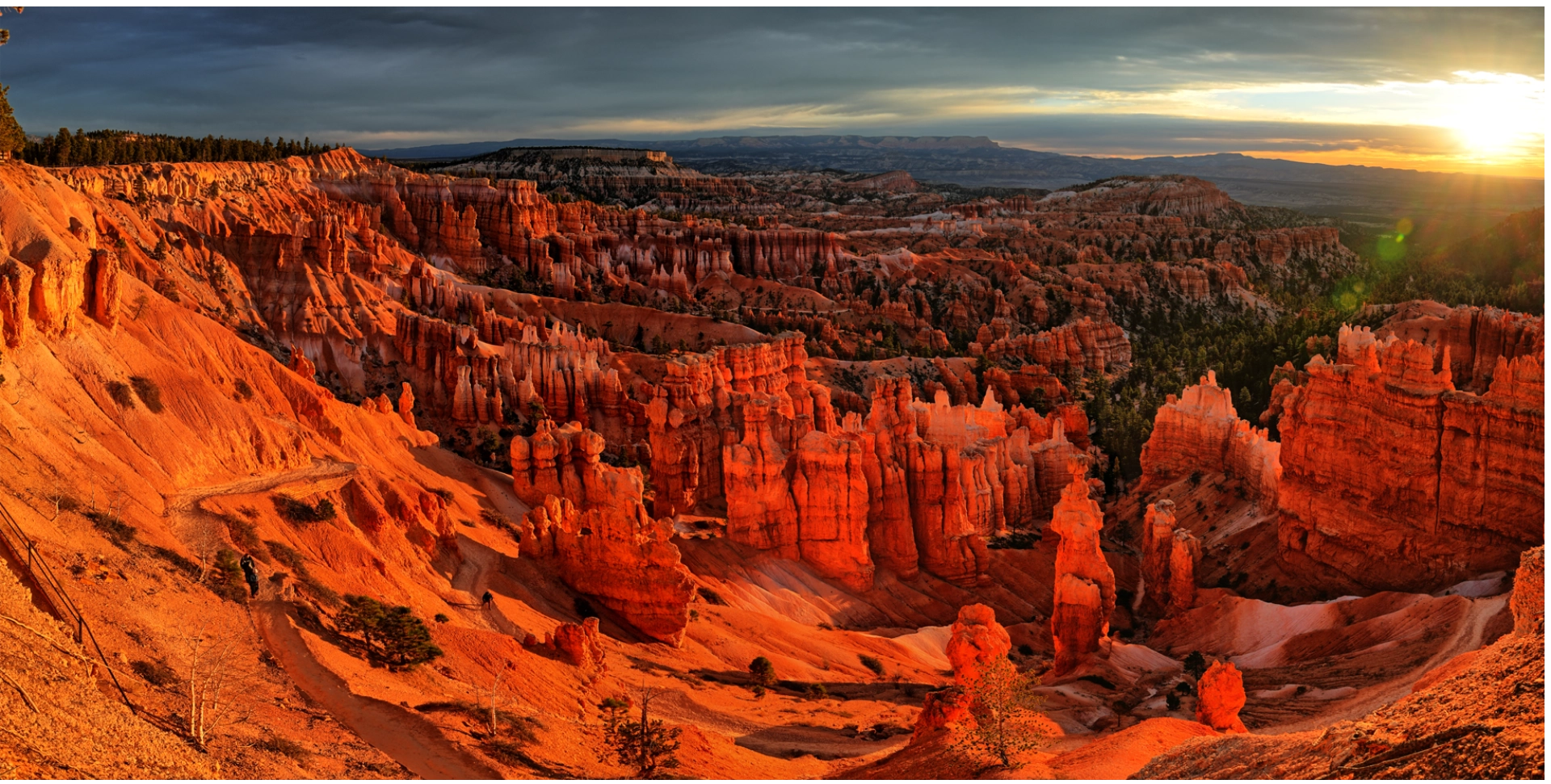 bryce