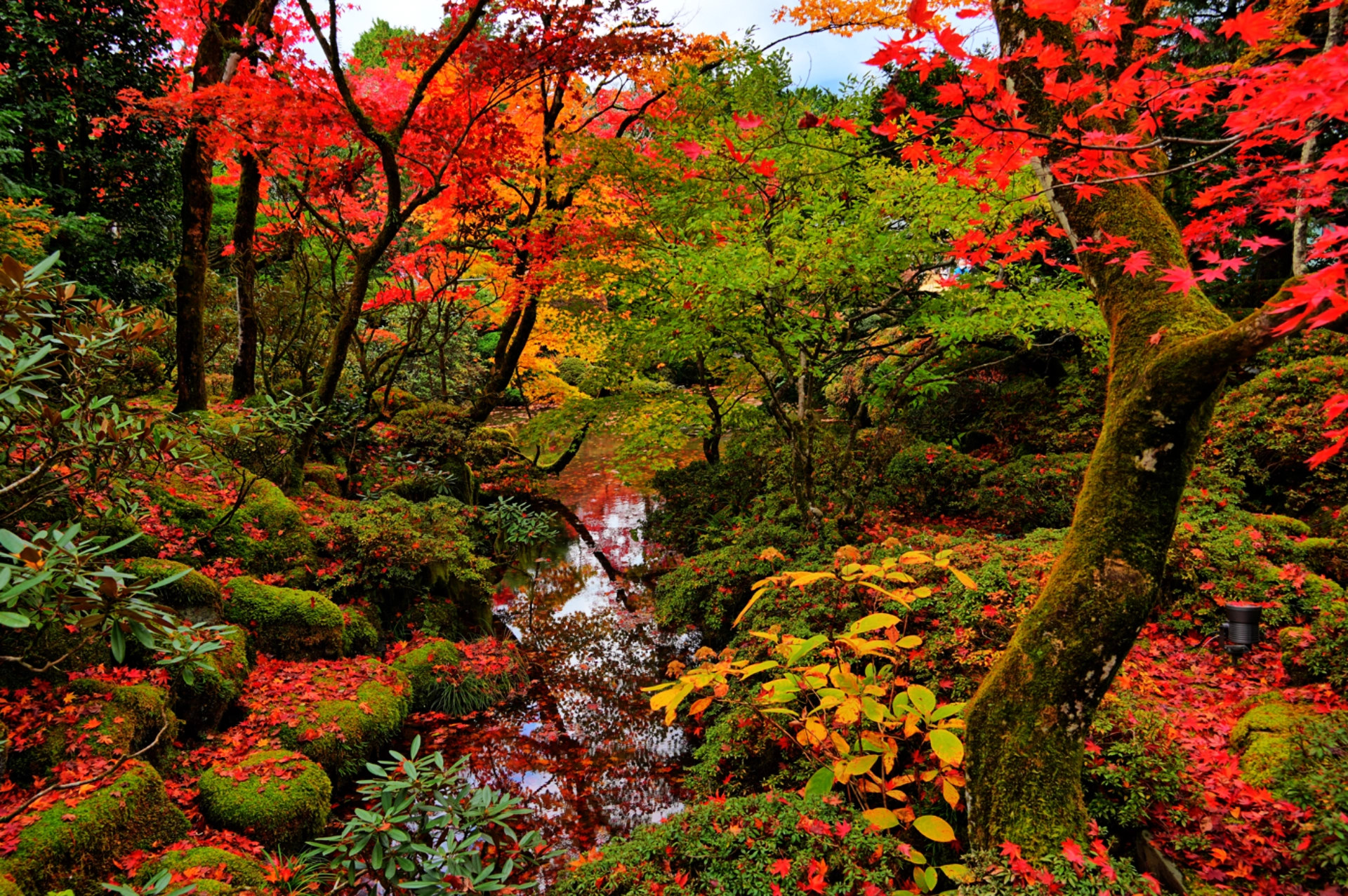 herbst