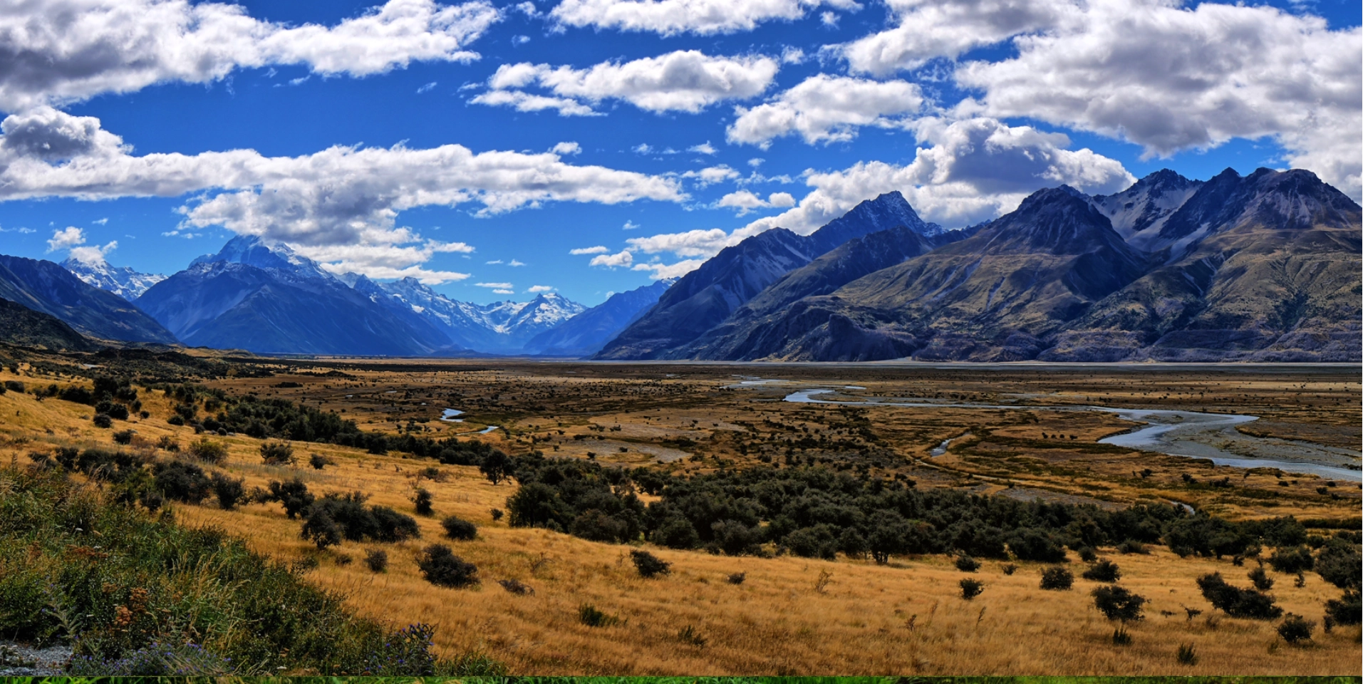 nz